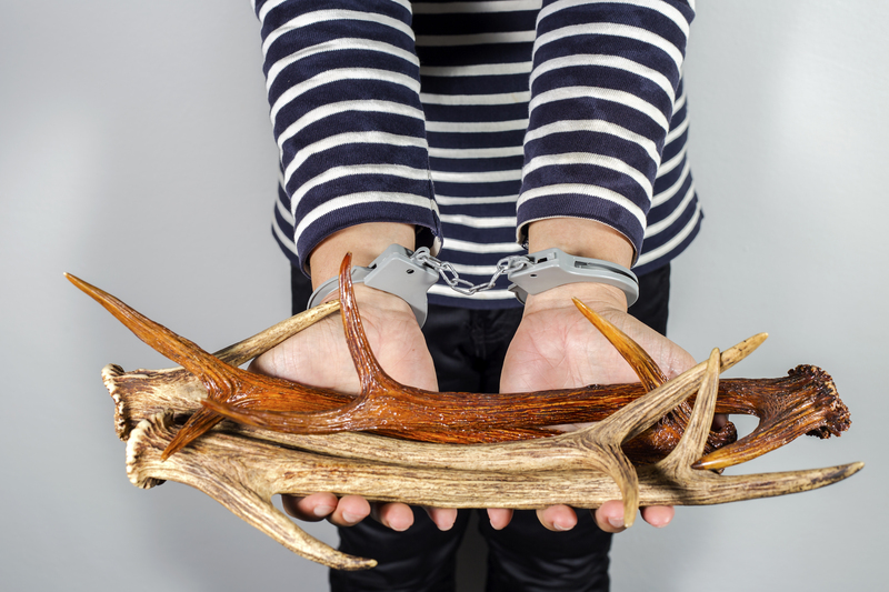 Green Living Tips to Reduce Household Waste